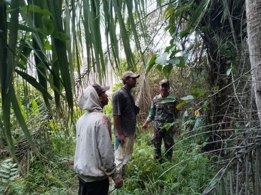 Babinsa Koramil 02/Tebing Tinggi Patroli Karhutla di Alahair Timur, Tak Ditemukan Titik Api
