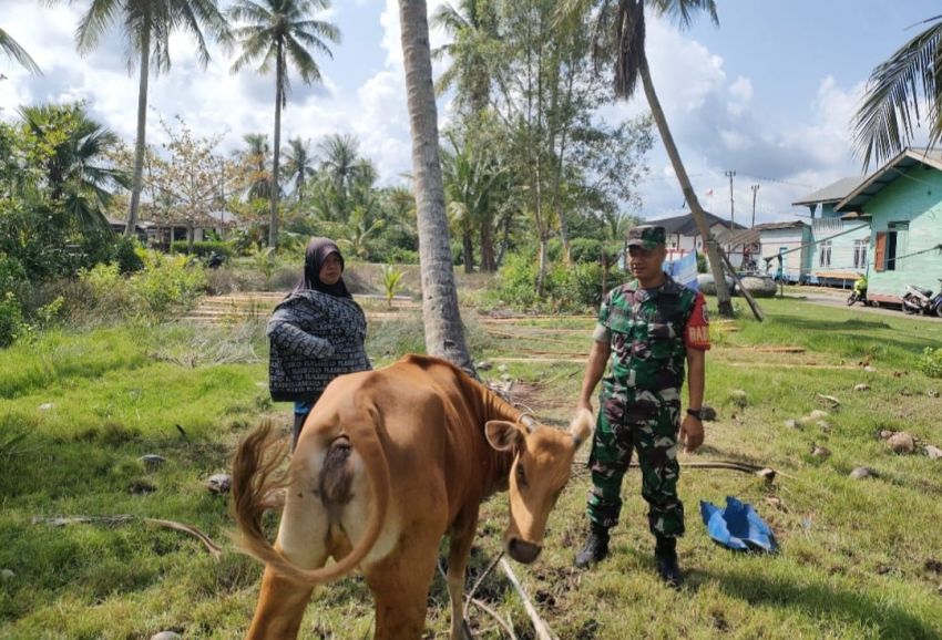 Antisipasi PMK, Babinsa Lakukan Pemantauan Ternak di Desa Tanjung