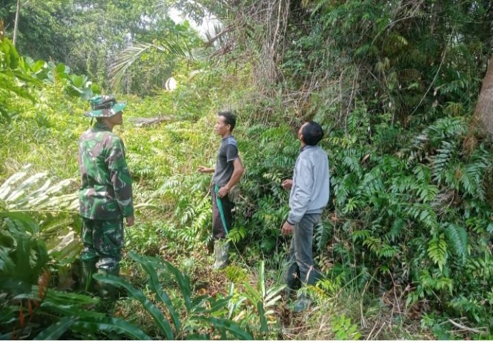 Babinsa Koramil 02/Tebing Tinggi Patroli Karhutla di Desa Insit, Situasi Aman