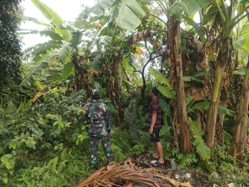 Babinsa Sertu Herman Saputra Gelar Patroli Karhutla di Desa Banglas, Warga Diimbau Tak Bakar Lahan