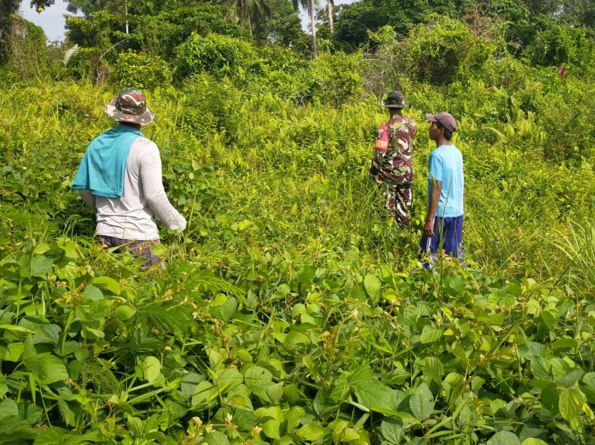 Tak Ditemukan Karhutla, Patroli Babinsa di Desa Alai Berjalan Lancar