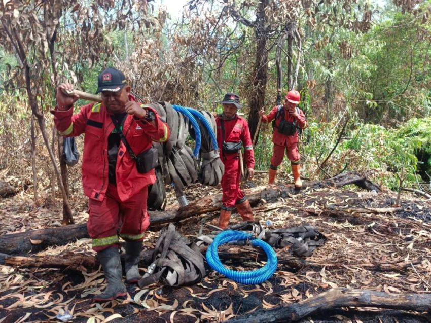 Sepekan Berjibaku, Tim Manggala Agni Selesaikan Pemadaman Karhutla di Bengkalis