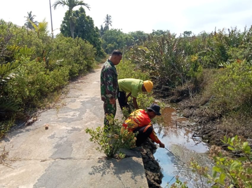 Cegah Karhutla, Babinsa dan MPA Sisir Area Rawan di Desa Insit