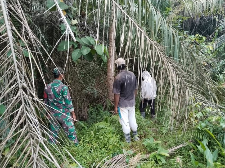 Cegah Karhutla, Babinsa dan Warga Sisir Wilayah Alahair Timur