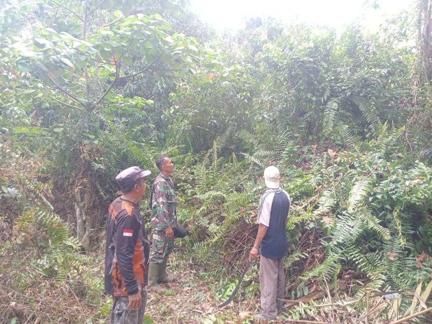 Babinsa Koramil 02/Tebing Tinggi Bersama BPBD Patroli Karhutla di Desa Insit