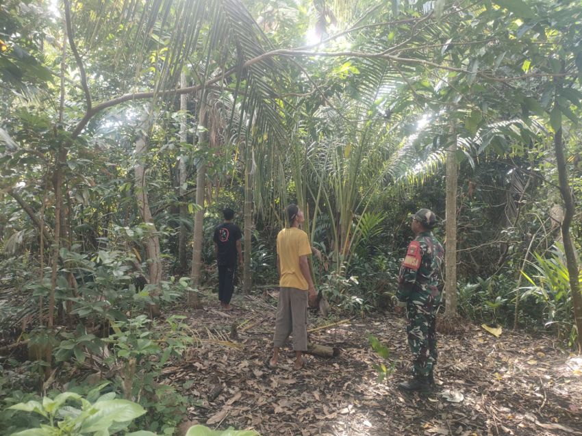 Babinsa dan Warga Sisir Banglas, Cegah Karhutla Sejak Dini