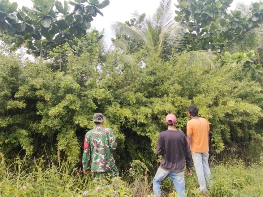 Babinsa Kopda Sukarman Patroli Cegah Karlahut di Desa Insit