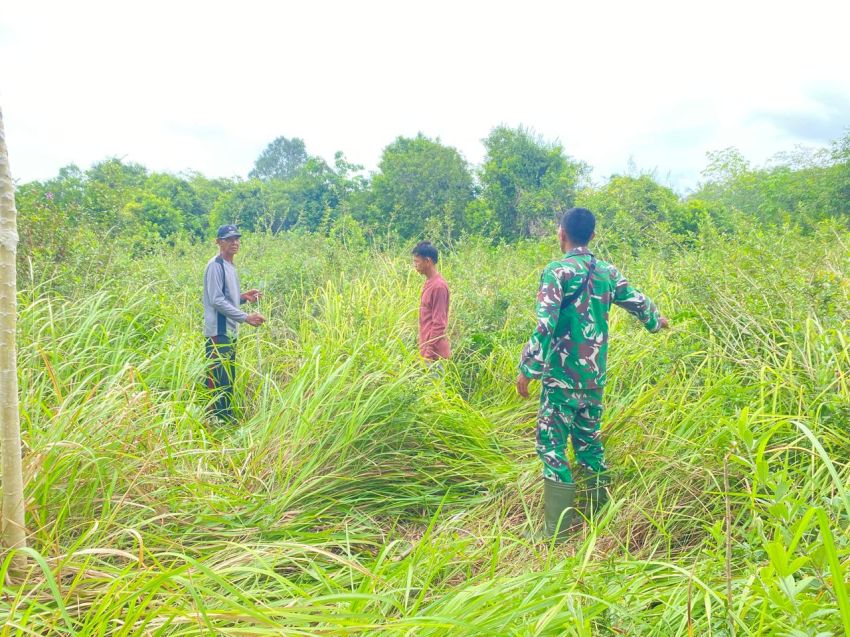 Babinsa Patroli Karhutla di Sendaur, Warga Diimbau Tak Bakar Lahan