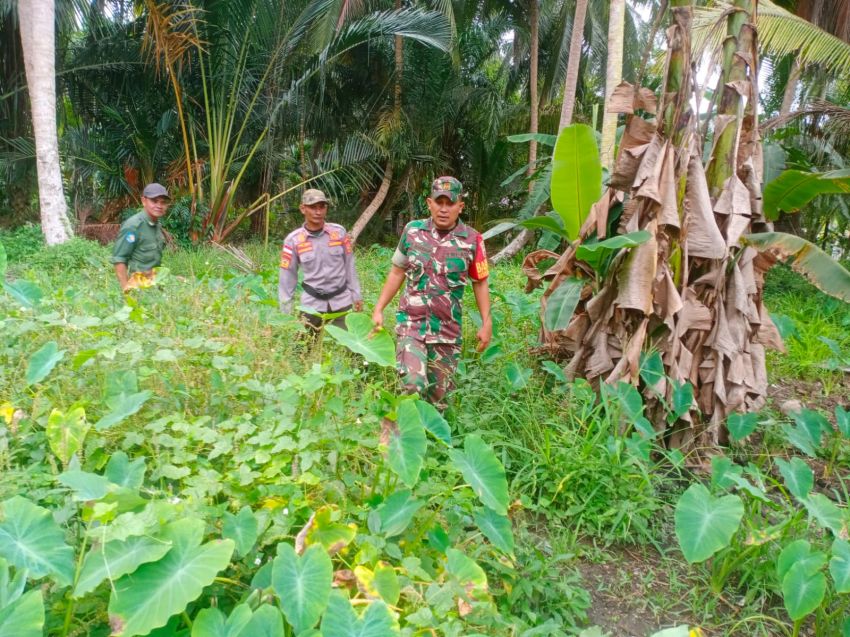 Babinsa dan MPA Patroli Karhutla di Rangsang Barat, Nihil Titik Api