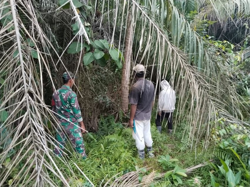 Cegah Karhutla, Babinsa Tebing Tinggi Intensifkan Patroli Bersama Masyarakat