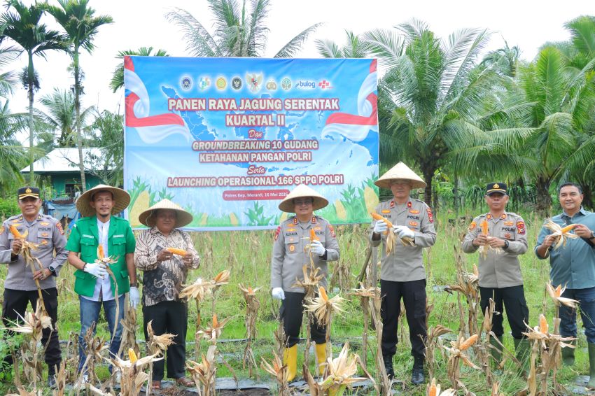 Polres Meranti Panen Jagung di Sedap, Kuatkan Pangan Negeri