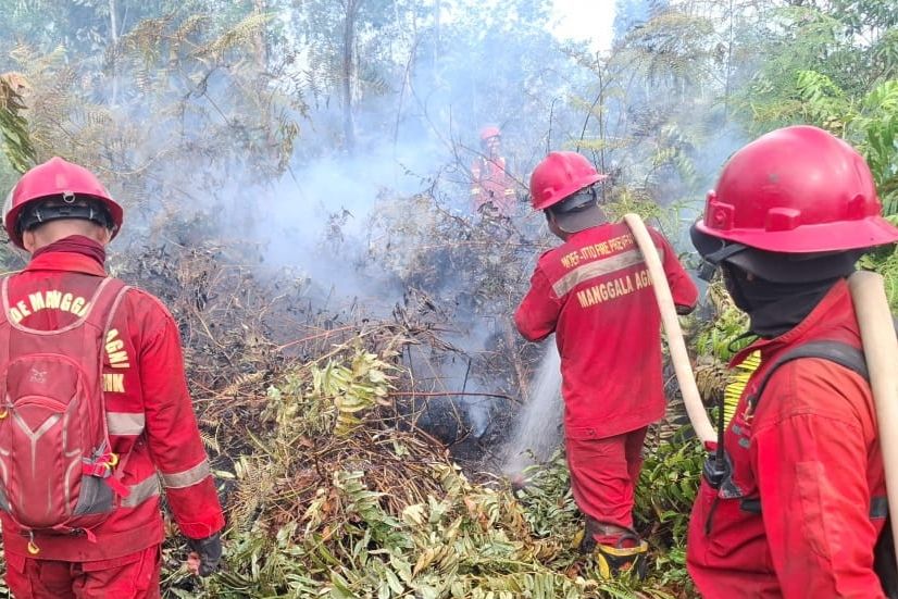 Pekanbaru Tetapkan Status Siaga Darurat Bencana Karhutla Hingga November