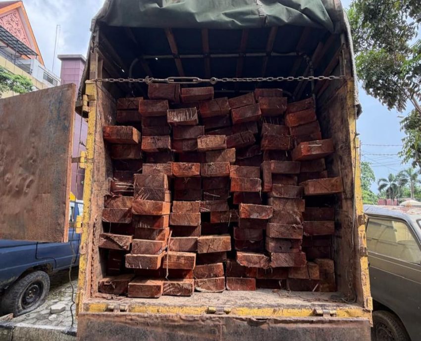 Polisi Bongkar Dugaan Perusakan Hutan di Giam Siak Kecil, 10 Kubik Kayu Disita
