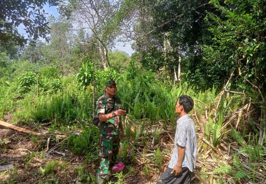 Babinsa Koramil 02/Tebing Tinggi Intens Patroli Karhutla di Tanjung Samak