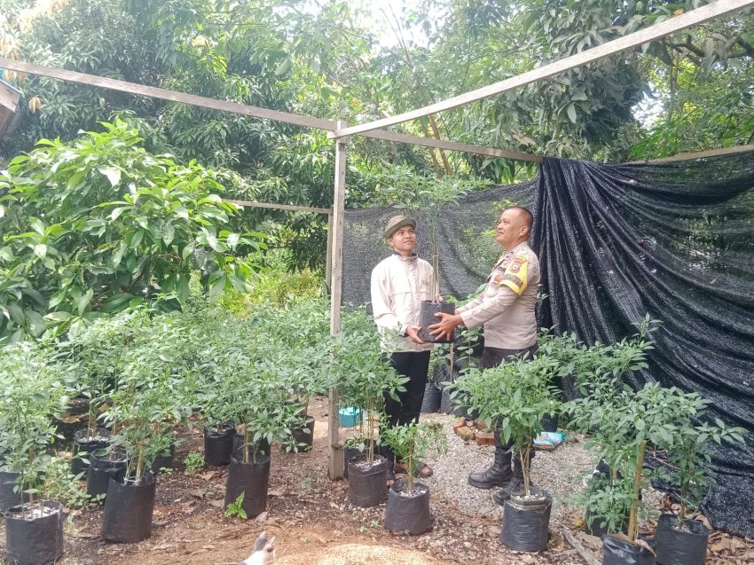 Dukung Ketahanan Pangan, Polsek Rangsang Barat Salurkan Pupuk dan Pestisida ke Petani di Desa Lemang