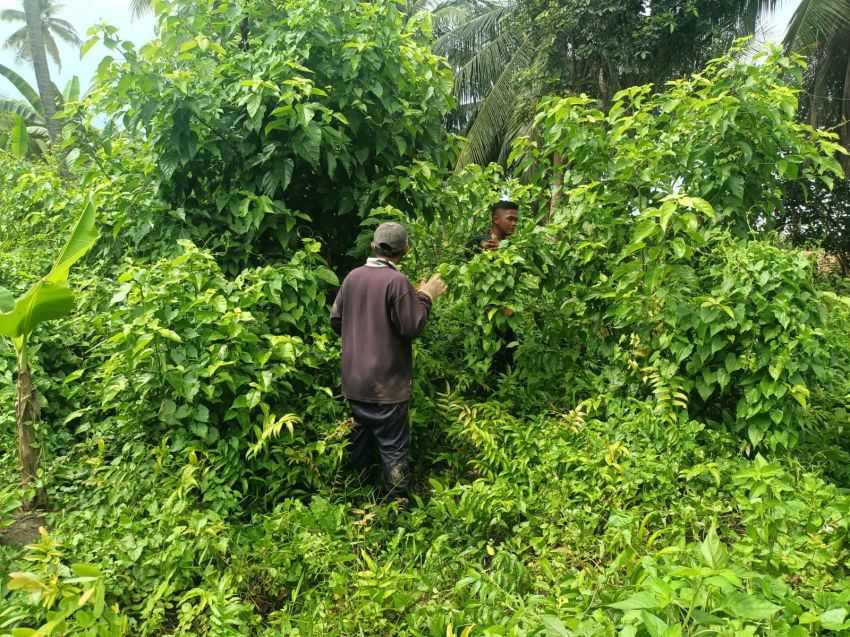 Babinsa dan MPA Sisir Wilayah Desa Lemang, Tidak Ditemukan Titik Karhutla