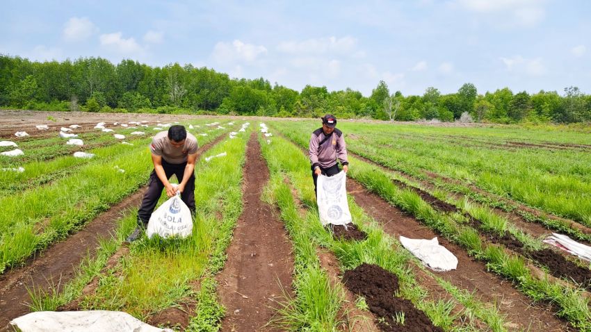 Polsek Tebing Tinggi Barat Hadir di Tengah Petani, Dorong Ketahanan Pangan Nasional