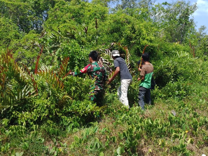 Cegah Kebakaran Lahan, Babinsa Tebing Tinggi Intensifkan Patroli Karhutla