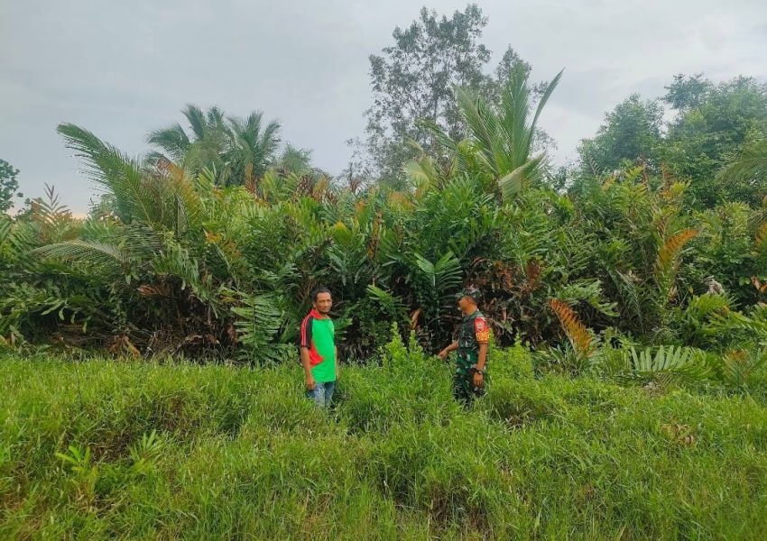 Babinsa dan BPBD Patroli Karhutla di Tebing Tinggi Barat, Tidak Ditemukan Titik Api