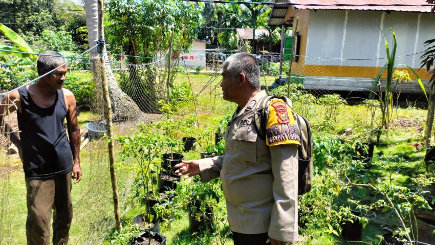 Warga Sialang Pasung Manfaatkan Pekarangan untuk Ketahanan Pangan, Polisi Beri Pendampingan