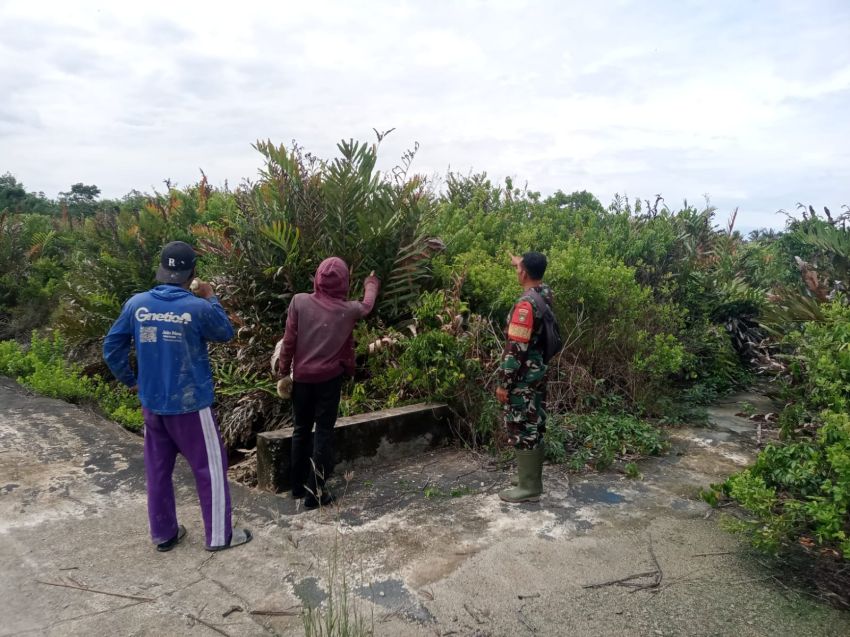 Patroli Rutin Karhutla di Desa Insit, Babinsa Ingatkan Bahaya Membakar Lahan