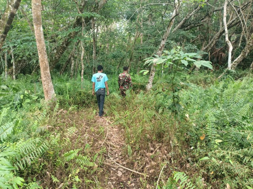 Babinsa dan MPA Patroli Karhutla di Desa Lemang, Warga Diimbau Tak Buka Lahan dengan Cara Membakar