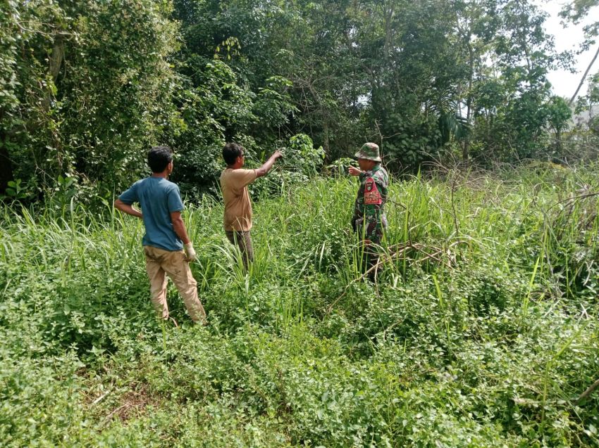 Cegah Karhutla, Babinsa Koramil 02/Tebing Tinggi Rutin Sisir Desa Bantar