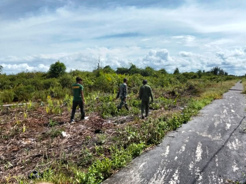Babinsa dan Warga Patroli Karhutla di Desa Insit, Tak Temukan Titik Api