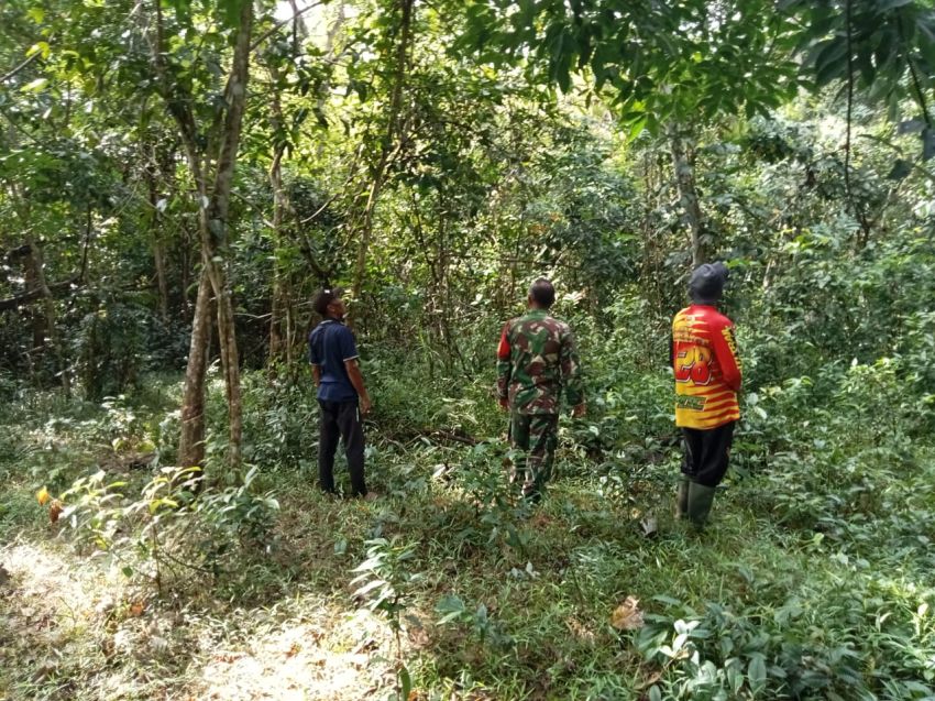 Cegah Karhutla, Babinsa Intensif Patroli di Tebing Tinggi Barat