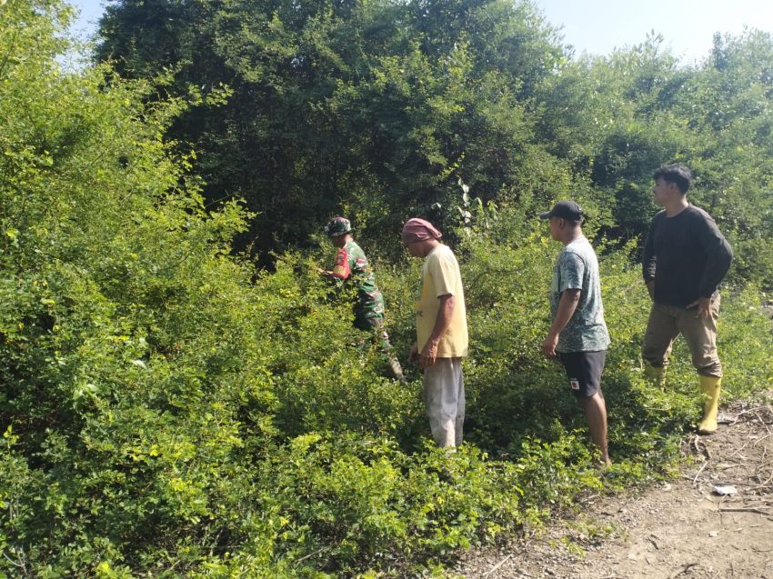 Babinsa dan MPA Patroli Karhutla di Tanjung Medang