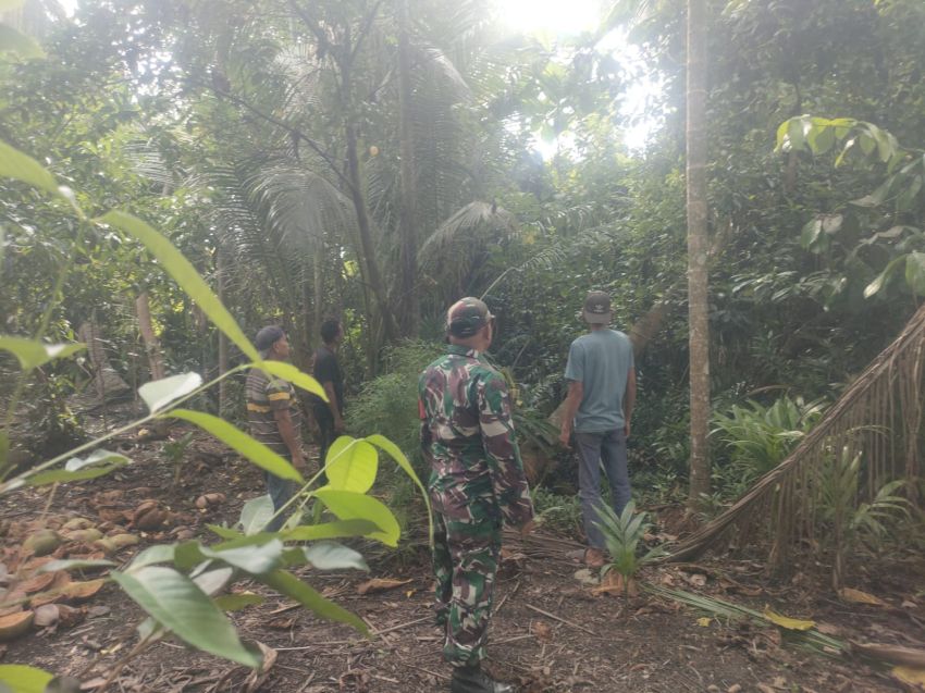 Babinsa dan Warga Patroli Karhutla di Banglas, Tidak Ditemukan Titik Api