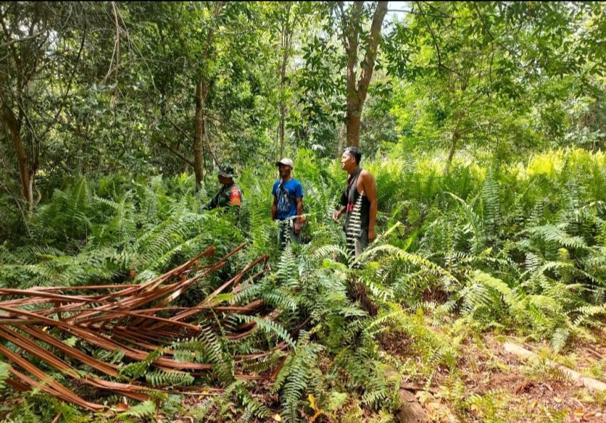 Cegah Kebakaran Lahan, Babinsa Bersama Warga Sisir Desa Tanjung